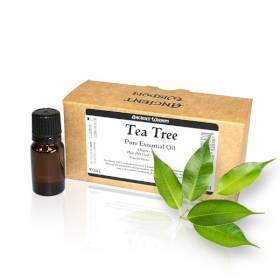 10x Drzewo Herbaciane - Olejek Eteryczny 10 ml - BEZ ETYKIETY