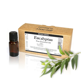 10x Eukaliptus - Olejek Eteryczny 10 ml