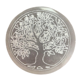 Mała Okrągła Płytka Selenitowa 8 cm - Drzewo Życia