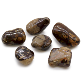 6x Duży Afrykański Kamień Naturalny - Jaspis Nguni