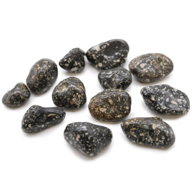 12x Średni Afrykański Kamień Naturalny - Jaspis Perliczka