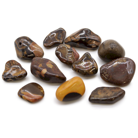 12x Średni Afrykański Kamień Naturalny - Jaspis Obrazkowy Nguni
