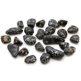 24x Mały Afrykański Kamień Naturalny - Jaspis Perliczka