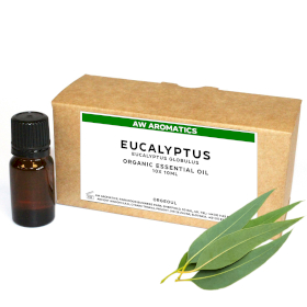 10x Olejek Eteryczny Organiczny 10 ml - Eukaliptus - BEZ ETYKIETY