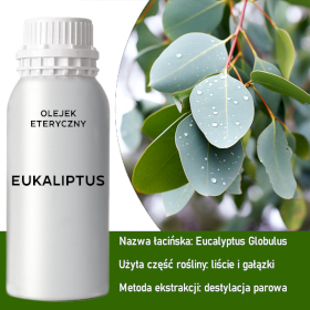Olejek Eteryczny 0.5 kg - Eukaliptus