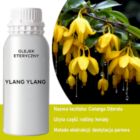 Olejek Eteryczny 0.5 kg - Ylang-Ylang