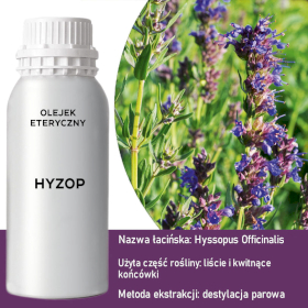 Olejek Eteryczny 0.5 kg - Hyzop