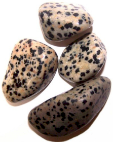 24x Kamień Duży - Jaspis Dalmatyńczyk